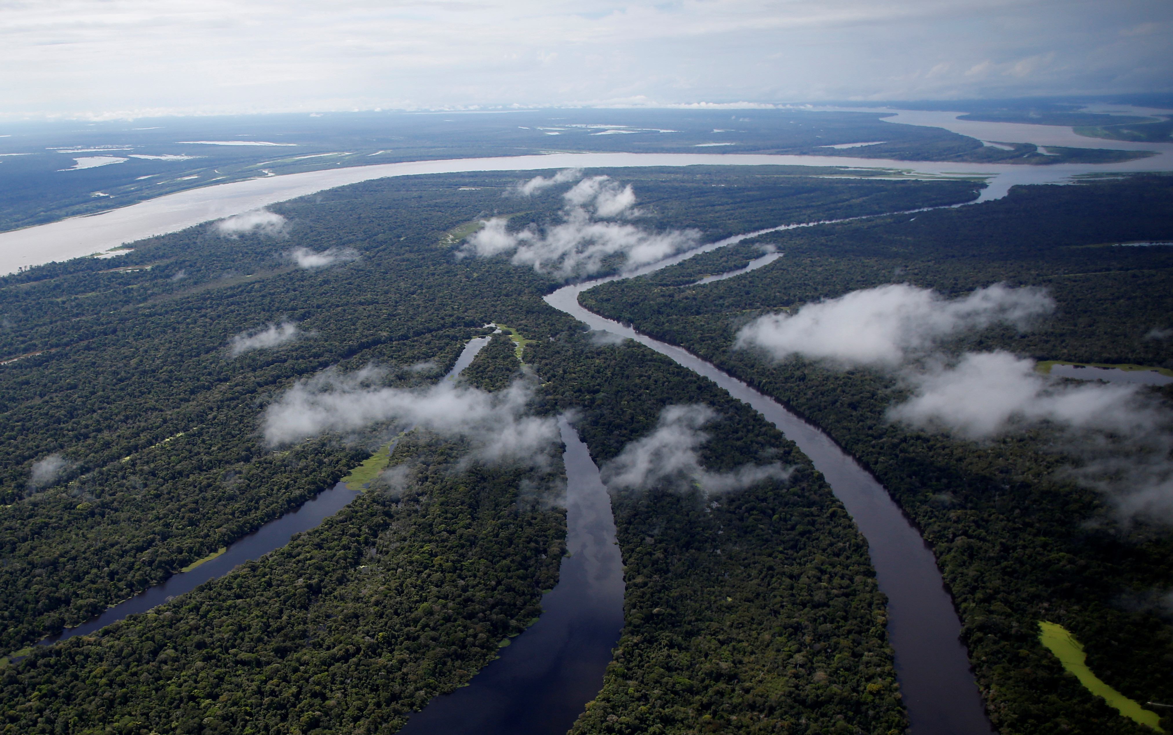The Amazon rainforest is worth more to us untouched.