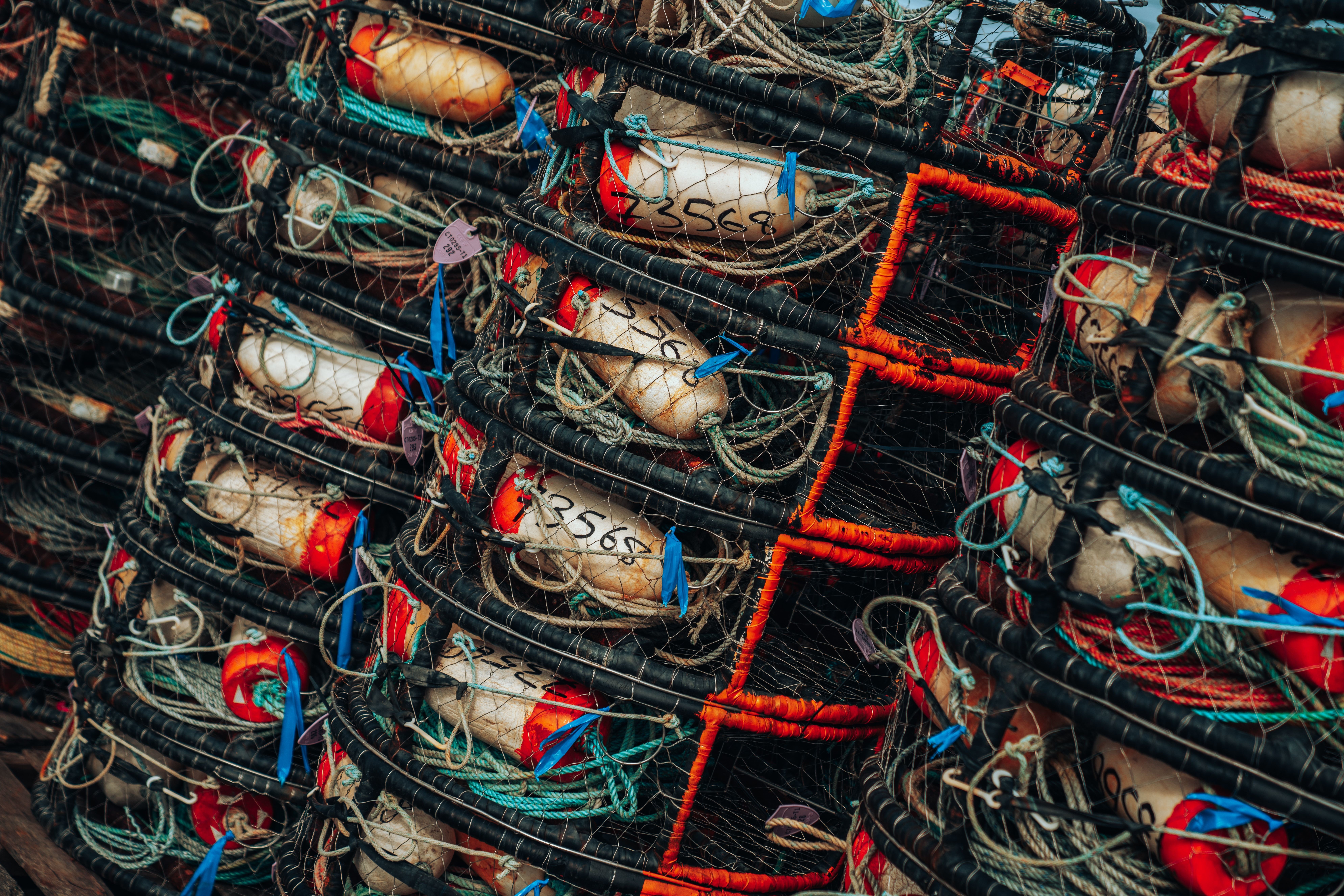 Stacks of worn crab traps await fishing season in Bodega Bay, California: Experts estimate that an additional 16 million tonnes could be available without overfishing our oceans.
