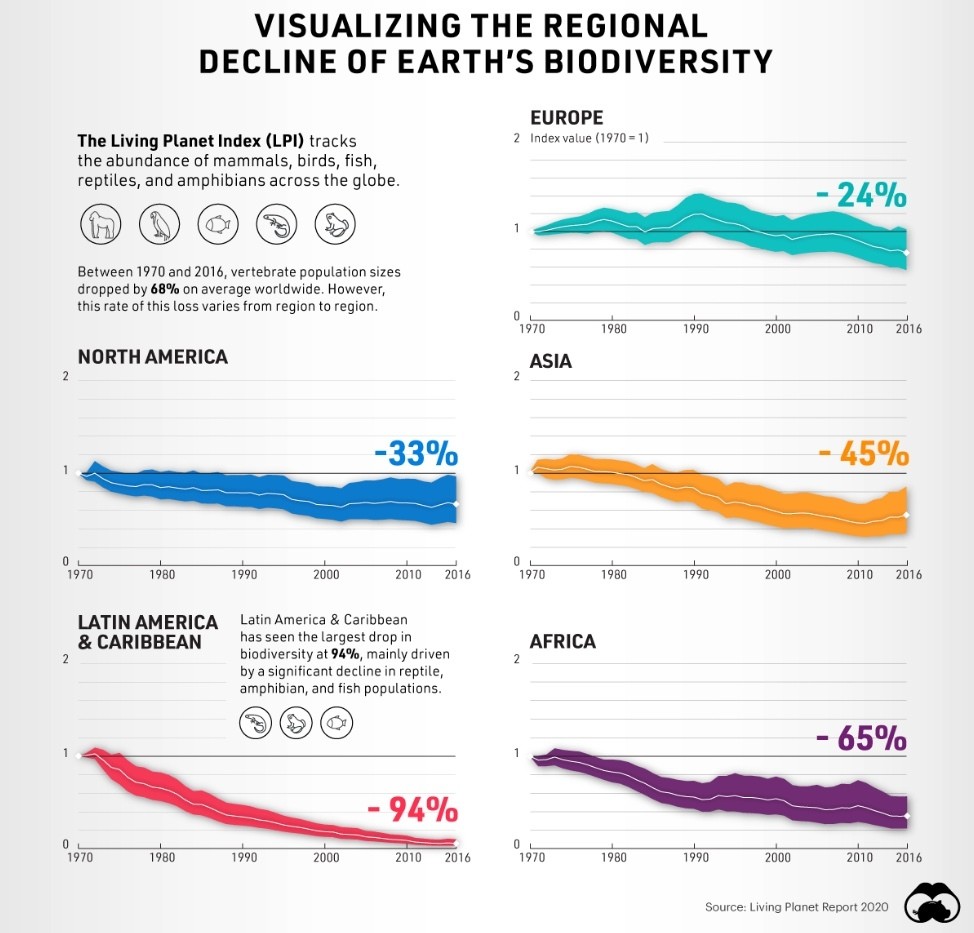 Infographic illustrating the regional decline of earth's biodiversity.